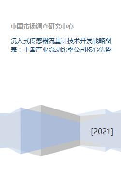 沉入式傳感器流量計技術開發戰略與中國產業流動比率公司核心優勢分析